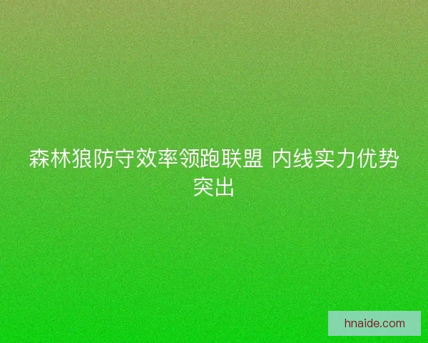 森林狼防守效率领跑联盟 内线实力优势突出
