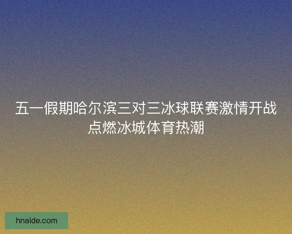 五一假期哈尔滨三对三冰球联赛激情开战点燃冰城体育热潮